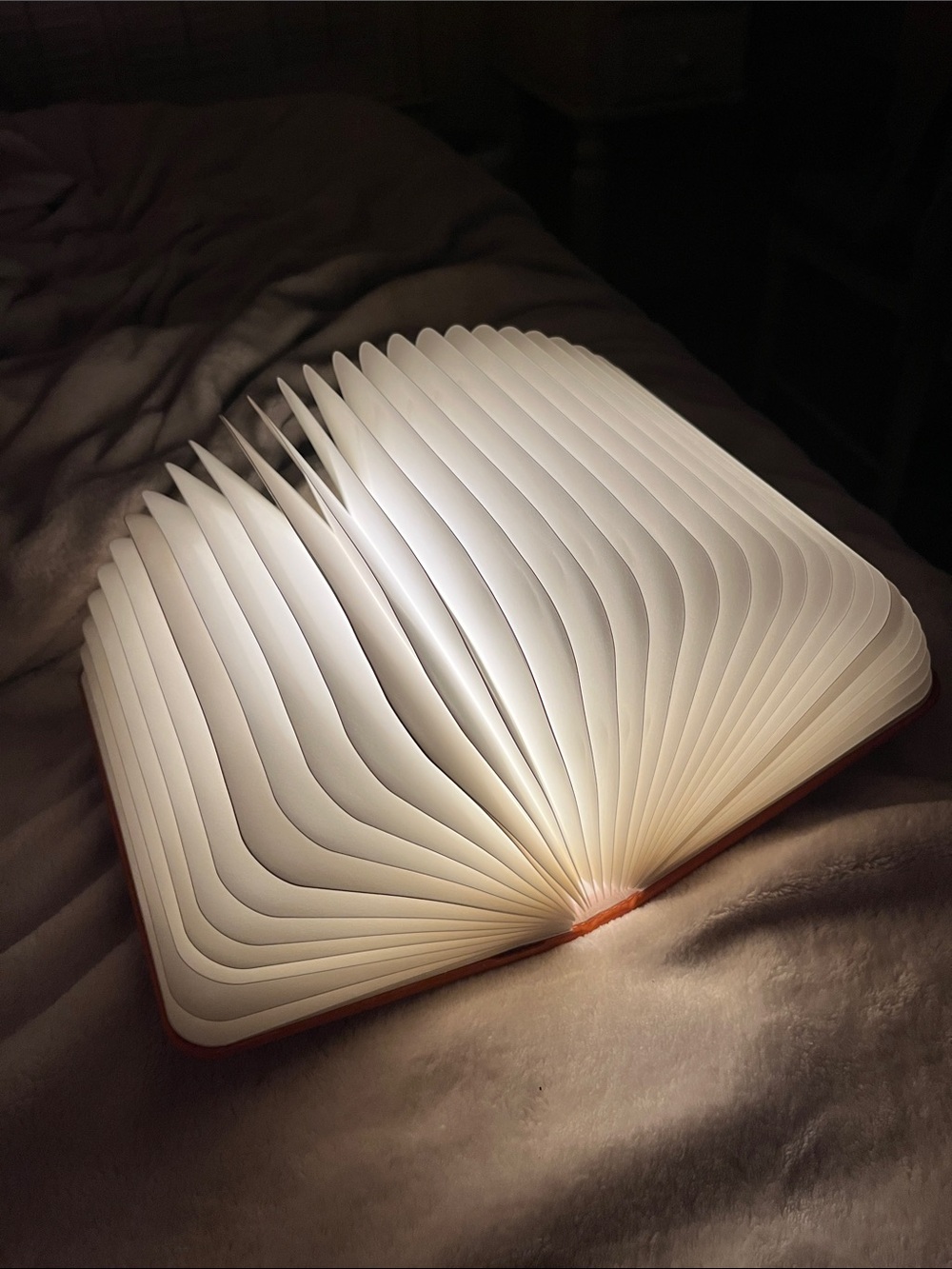 Book light up lamp with multiple colors